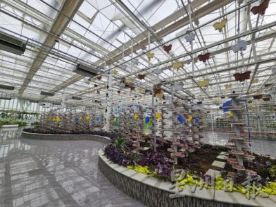 【中国】新疆那么大,到阿凡提的故乡去走走