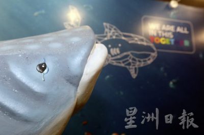 【保育不能等/01】鲨鱼正在濒危:不吃鱼翅,给鲨鱼一条活路