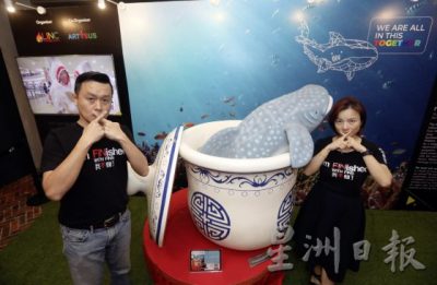 【保育不能等/01】鲨鱼正在濒危:不吃鱼翅,给鲨鱼一条活路