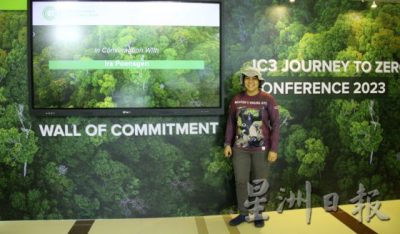 【保育不能等/02】长臂猿的哀歌:不要买幼崽当宠物,你会杀死它们!