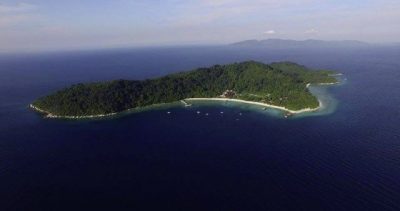 【保育不能等/03】珊瑚礁白化浩劫:寻找超级珊瑚,拯救海洋生物的孵育温床