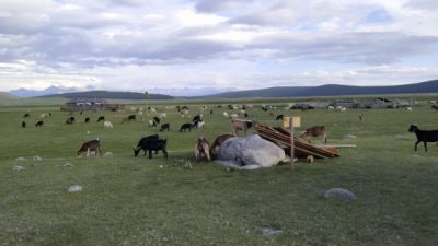 【蒙古】走一回成吉思汗的帝国──蒙古