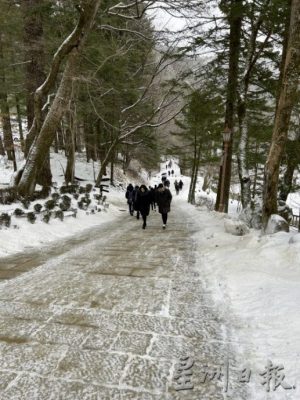 【韩国】冬游江原道,打卡韩剧场景,感受冬雪的绚丽