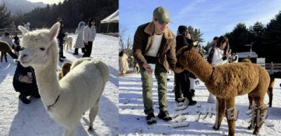 【韩国】冬游江原道,打卡韩剧场景,感受冬雪的绚丽
