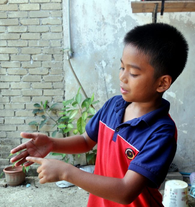 东:武吉格鲁昂(Bukit Keluang)海滩出现有毒水母,2天内共有4名孩童及1名成人被蜇伤。