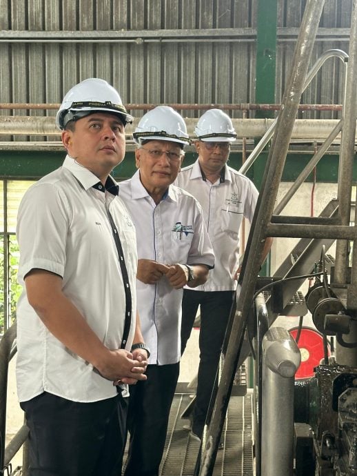 东:莫哈末尼查:简化官僚主义 吸引更多外资