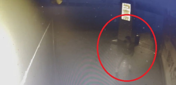 为情侣解围被嫌多管闲事 两派人街头鎗战4中弹