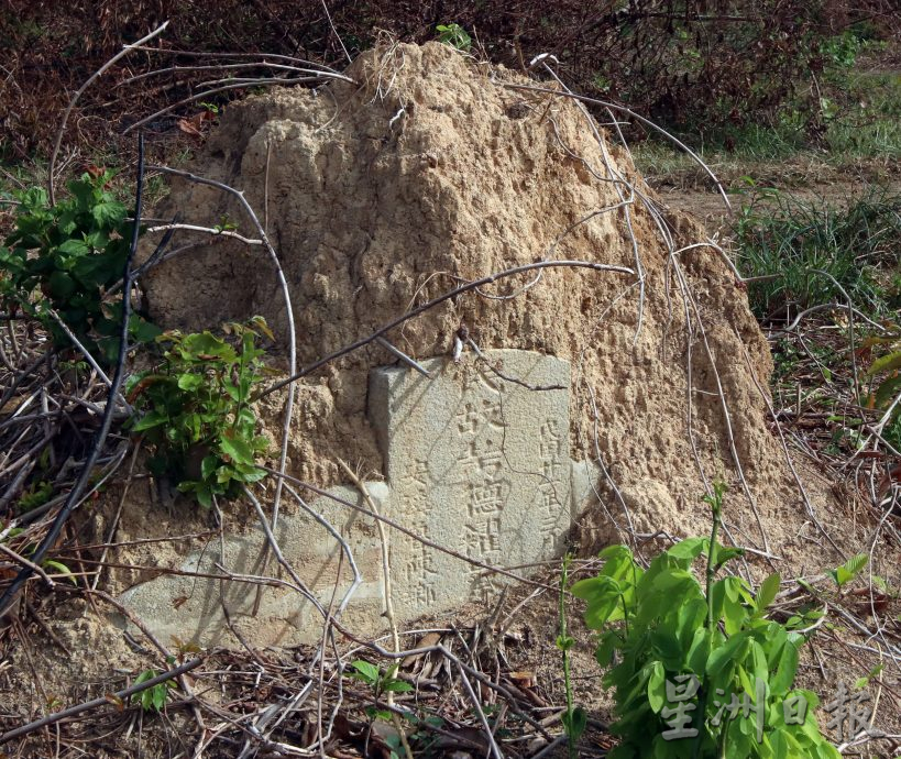 供星洲网：林茂/森百年义山再加一 林茂旧华人义山“重见天日”