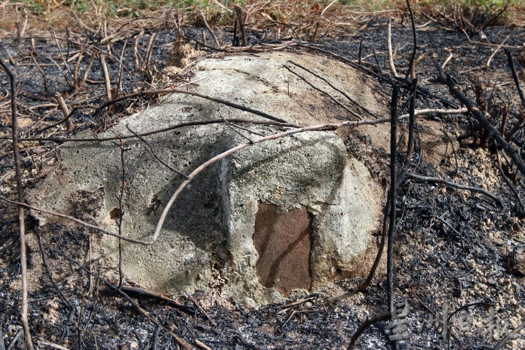 供星洲网：林茂/森百年义山再加一 林茂旧华人义山“重见天日”