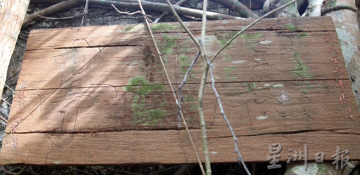 供星洲网：林茂/森百年义山再加一 林茂旧华人义山“重见天日”