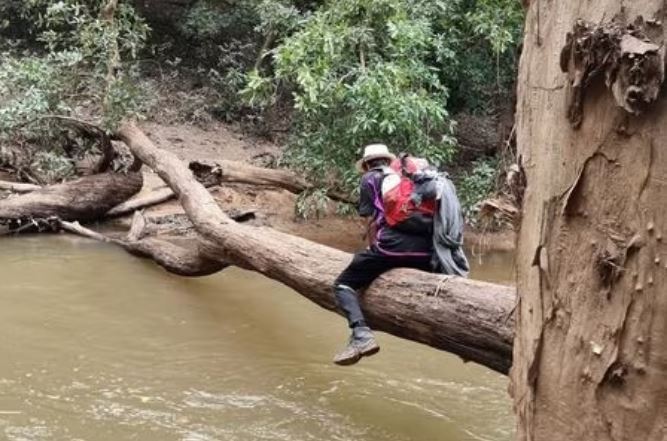 信任谷歌地图被引入沼泽 两游客荒野徒步一周侥幸生还