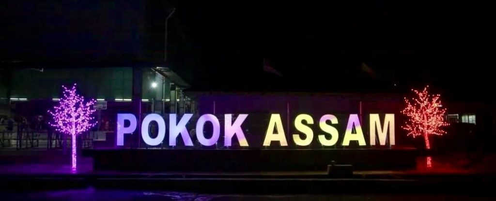 倪可敏:拨500万统一设计体现多元 霹新村皆设LED三语路牌