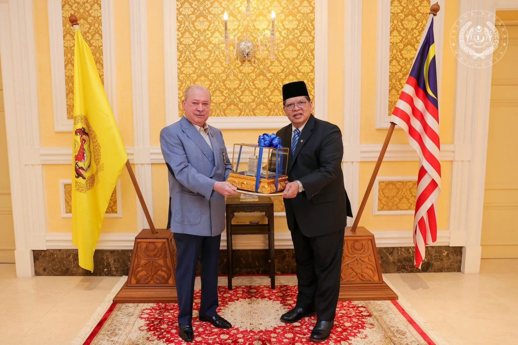 元首接见佐哈里