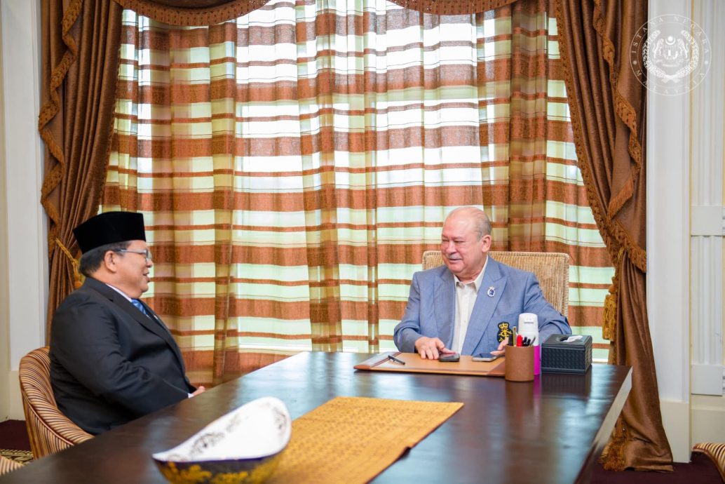 元首接见佐哈里