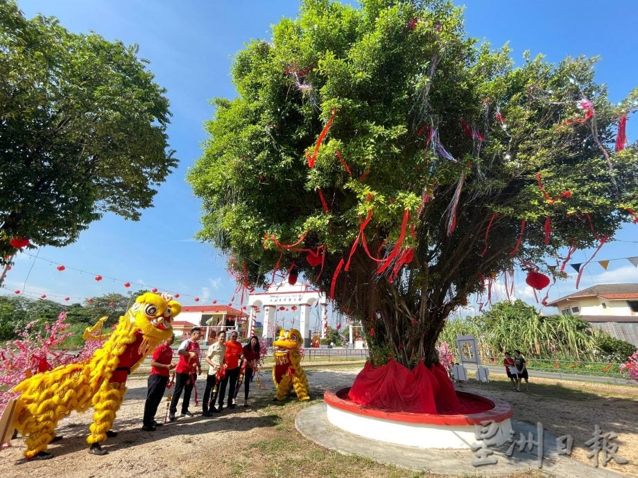 兵如港河滨公园新春布置 欢迎新年来打卡