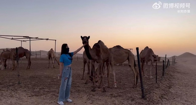 刘亦菲带旺大理观光财 剧组获云南追颁百万奖金