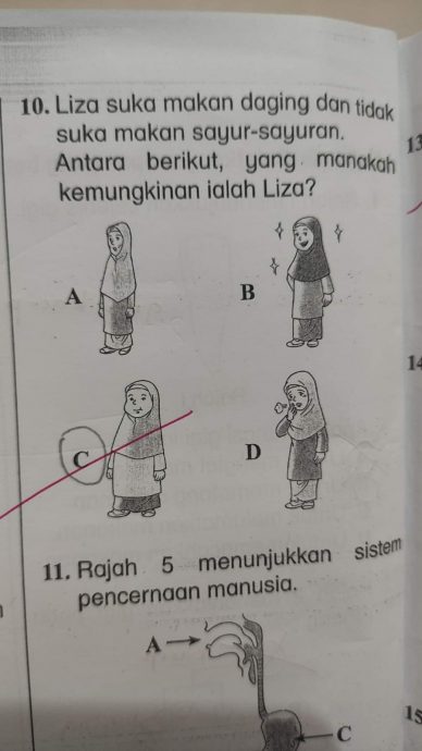 吃肉不吃菜女生最胖? 网轰小学考题答案“误导小学生!”