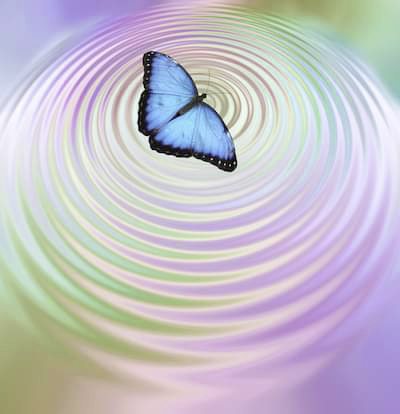 吴伟才／活在想像中的美丽