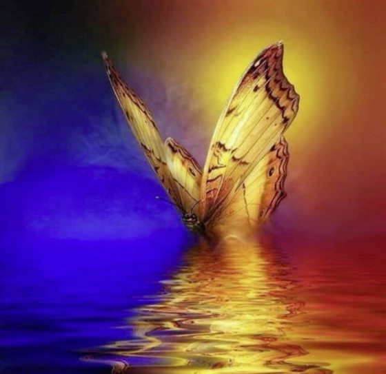 吴伟才／活在想像中的美丽