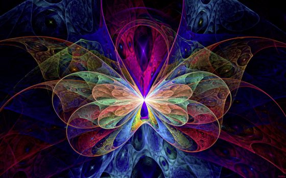 吴伟才／活在想像中的美丽