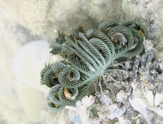 Fkwyq240204 01 Fz003048083113