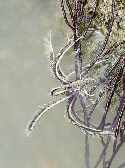 Fkwyq240204 05 Fz003048083112