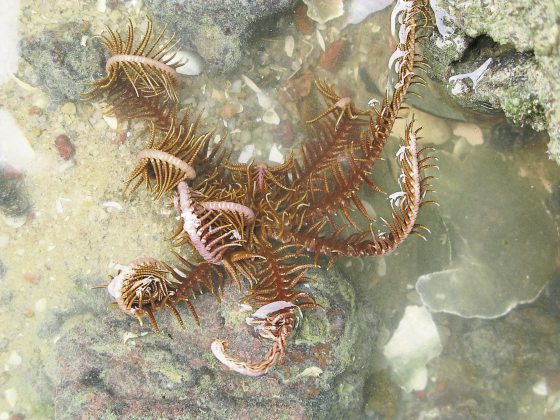 Fkwyq240204 04 Fz003048083108