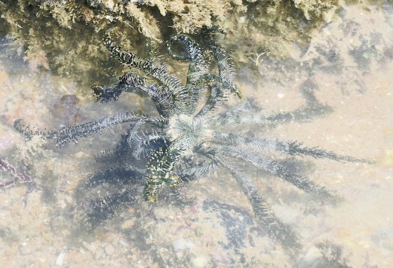 Fkwyq240204 02 Fz003048083111