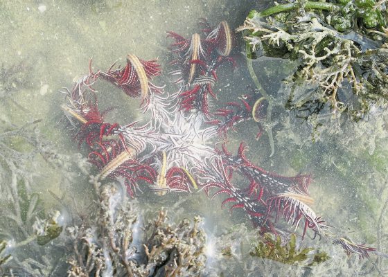 Fkwyq240204 03 Fz003048083109