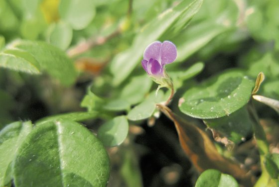 Fkwyq240218 06 Fz003048532027