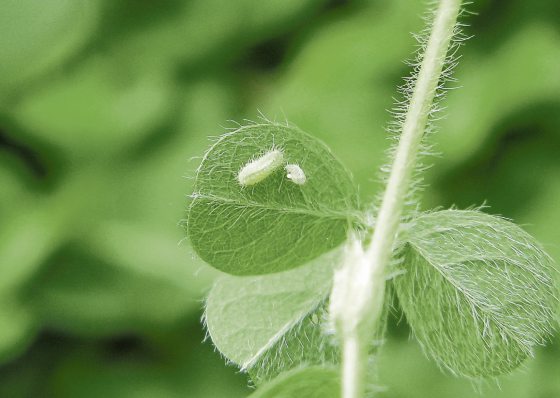 Fkwyq240218 03 Fz003048532031