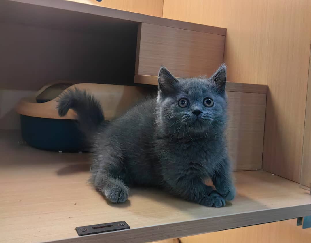 商人面交被抢劫被砍伤