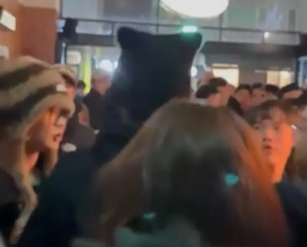 夜店护花暗谱姐弟恋？ ​柯震东牵手安心亚被拍