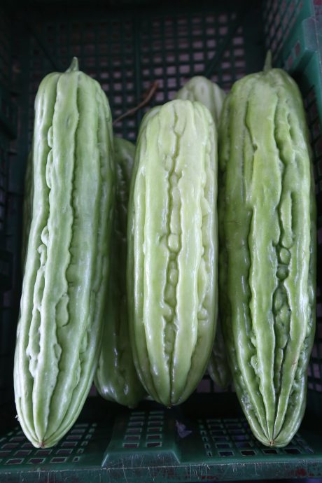 大都会/ME04头/春节尾声菜价部分稍降，瓜类蔬菜价格偏高/数图