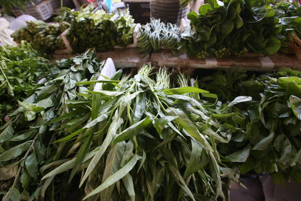 大都会/ME04头/春节尾声菜价部分稍降，瓜类蔬菜价格偏高/数图