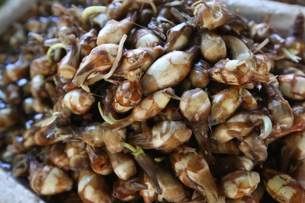 大都会/ME04头/春节尾声菜价部分稍降，瓜类蔬菜价格偏高/数图