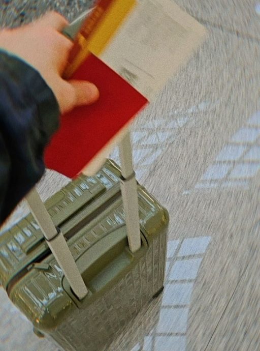 大马群星回马过年咯!|谢佳见回来吃不停 尤长靖晒照惹粉丝激动