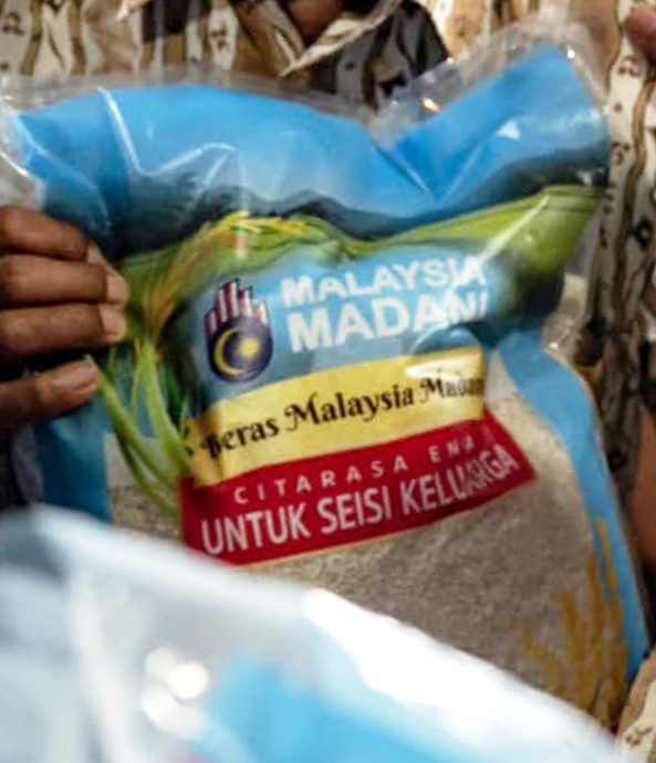 封面图/昌明大马米