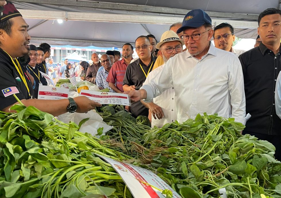 封面头条///批发商公会:市场1吨RM3200 进口本地米同价行不通