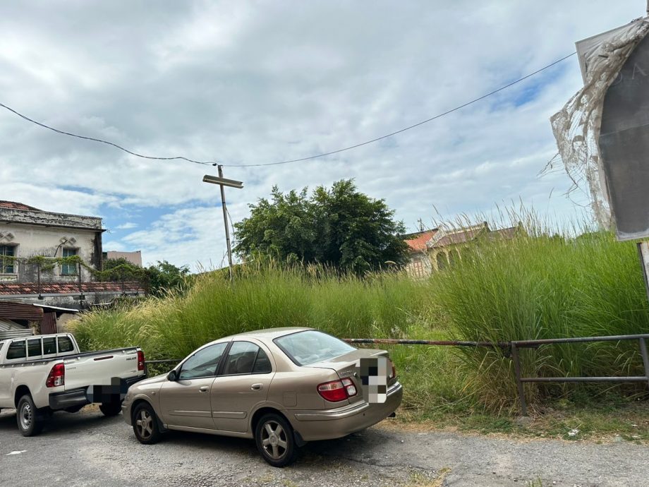 市区空地荒废滋生草木 刘志俍:应确保业主定期清理