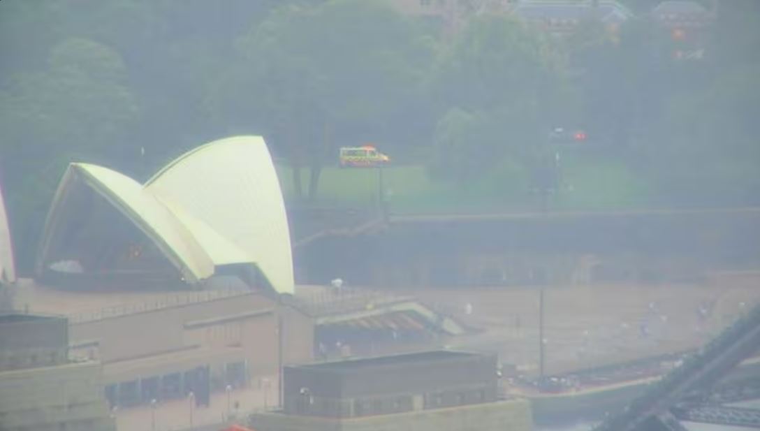 强雷暴袭澳洲悉尼 4人躲树下遭闪电击昏