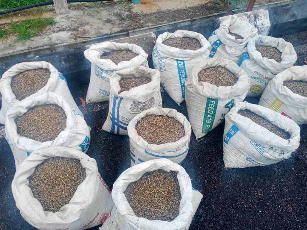 必下/霹/起获13袋蚶苗