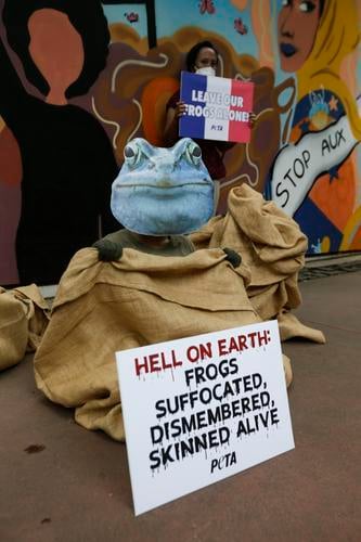 拼盘 未签 PETA自愿者抗议法国进口蛙腿