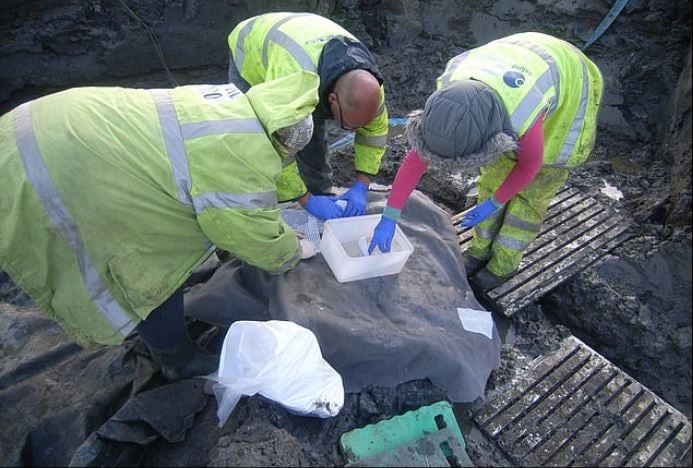 拼盘 罗马帝国遗址挖出“世界最古老鸟蛋” 专家:还存蛋液