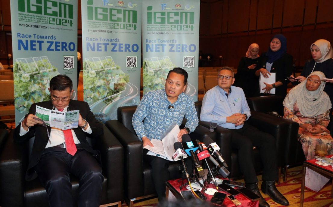 效彷国能换车 聂纳兹米：政府将用电动车