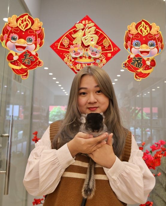 新年专题-(大都会)访龙猫饲主/12图