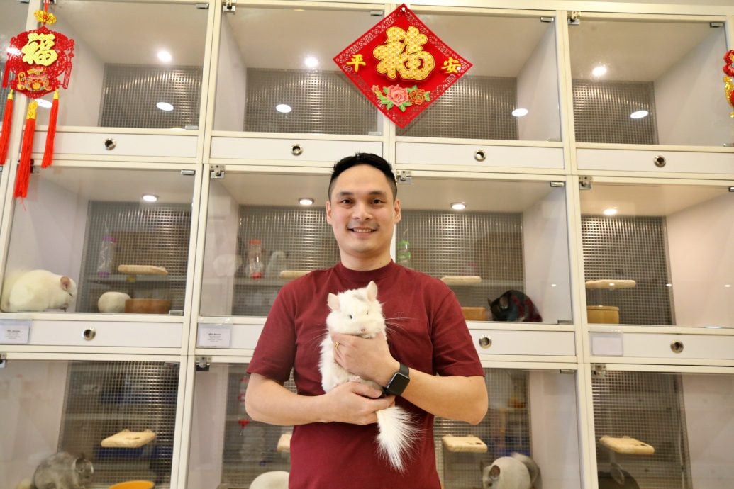 新年专题-(大都会)访龙猫饲主/12图