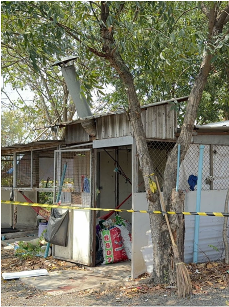 更新/台男在泰遭行刑式枪杀案发现场有K他命 警证实涉强盗逃亡