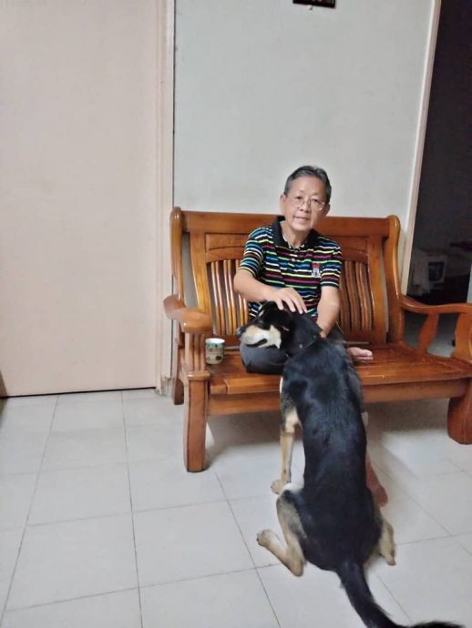 柔: 晨运妇疑遭撞后逃亡 家属贴文寻涉祸司机