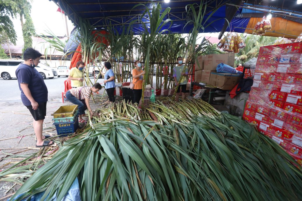 柔：【特稿】生猪价格一渳再涨 年初九拜天公金猪“热”不起